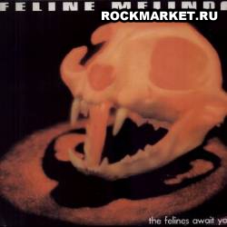 FELINE MELINDA - The Felines Await You