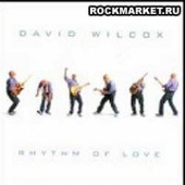 DAVID WILCOX - Rhythm Of Love