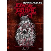 VARIOUS ARTISTS - Coyote Brutal Fest, 6 часть (DVD)